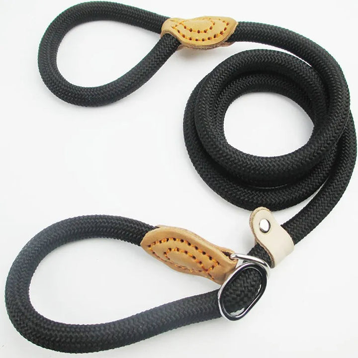 Black adjustable slip lead dog leash, essential pet supply for training and walking.