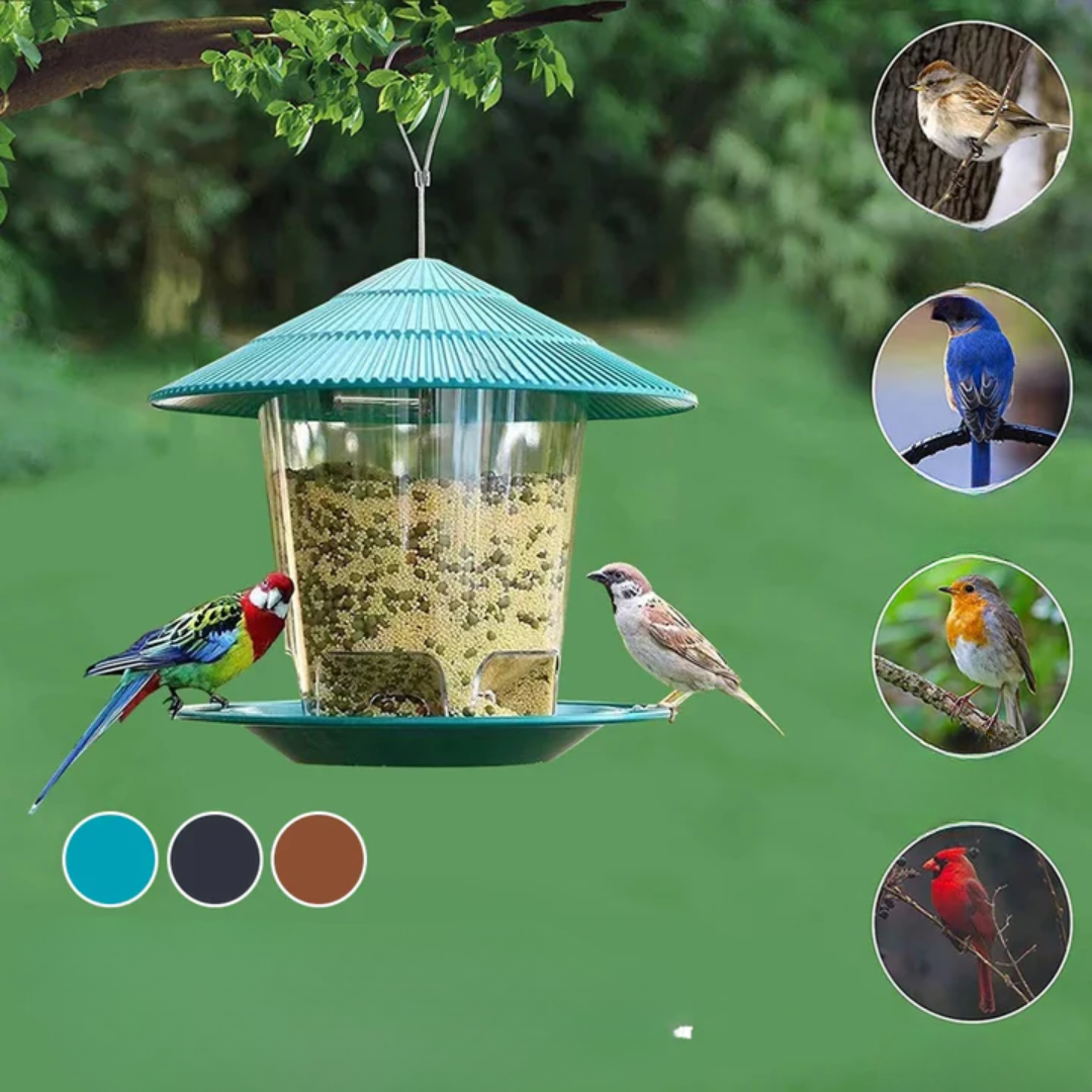 Large capacity hexagonal bird feeder, automatic seed dispenser, weatherproof outdoor decor