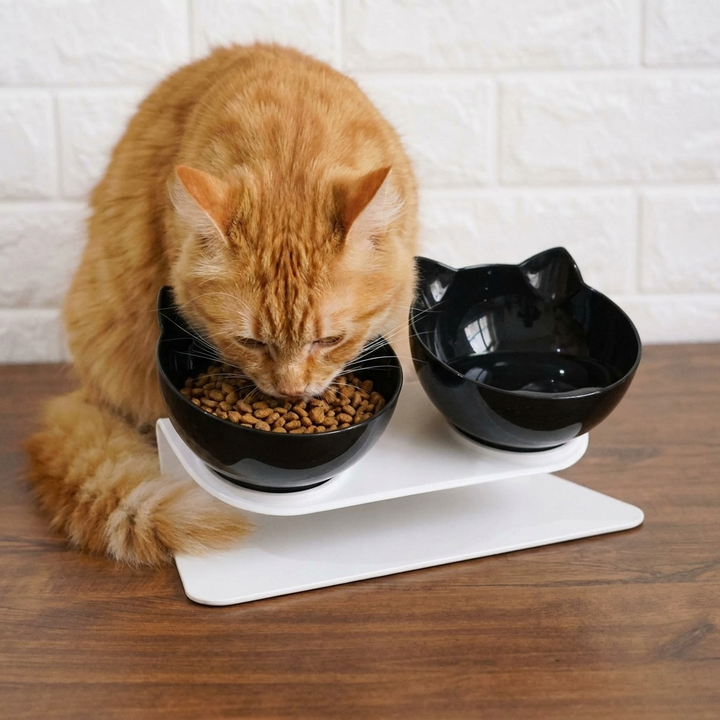 Ergonomic raised cat food & water bowls, anti-vomiting design for healthy digestion. Elevated double pet feeder, easy clean.