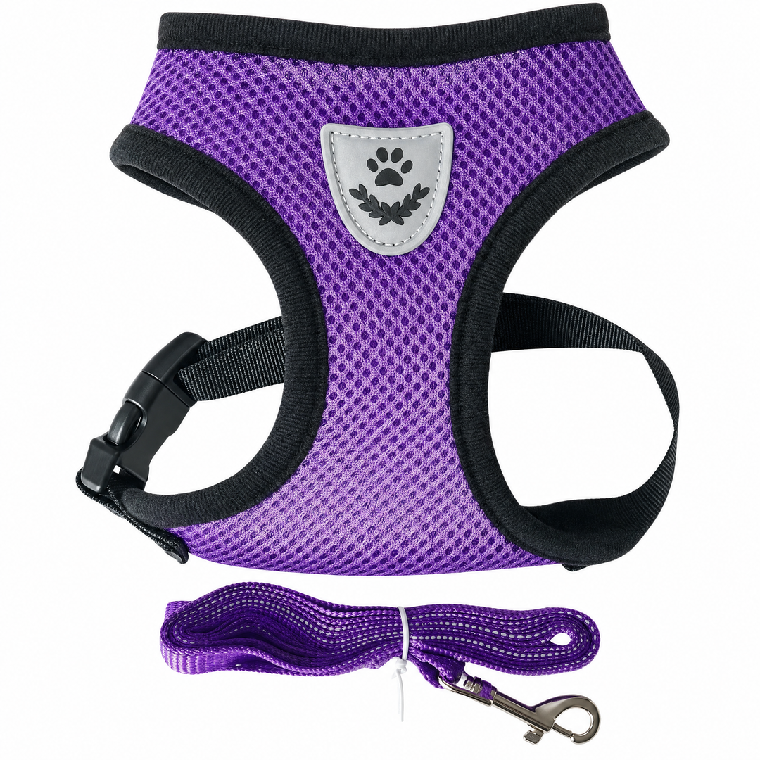 Secure adjustable mesh dog harness and leash set for daily pet walks.