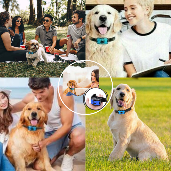 Weatherproof humane anti-bark dog training collar, adjustable strap, for pet behavior aid, no shock.