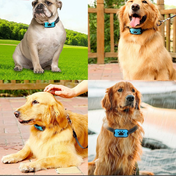 Rechargeable humane anti-bark dog collar, adjustable for small/medium dogs, weatherproof pet training aid.