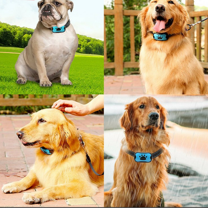 Rechargeable humane anti-bark dog collar, adjustable for small/medium dogs, weatherproof pet training aid.