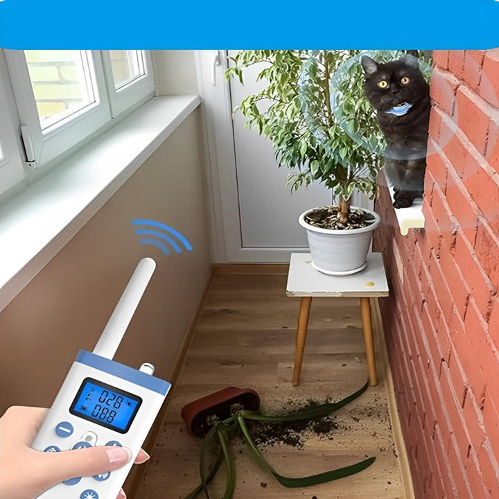 Rechargeable cat training collar and remote, designed for humane pet training and effective behavior control.