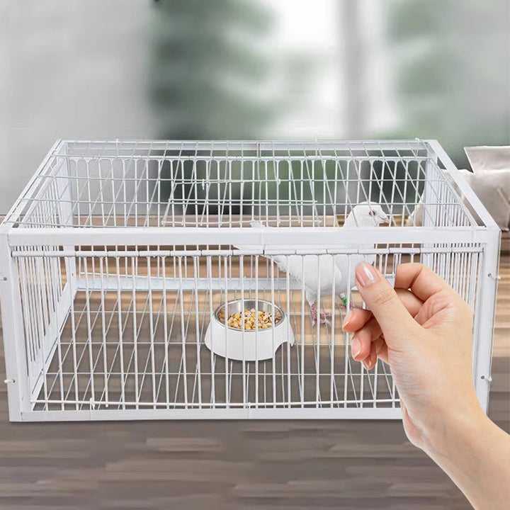 Humane metal bird trap for safe capture & relocation in gardens or farms.