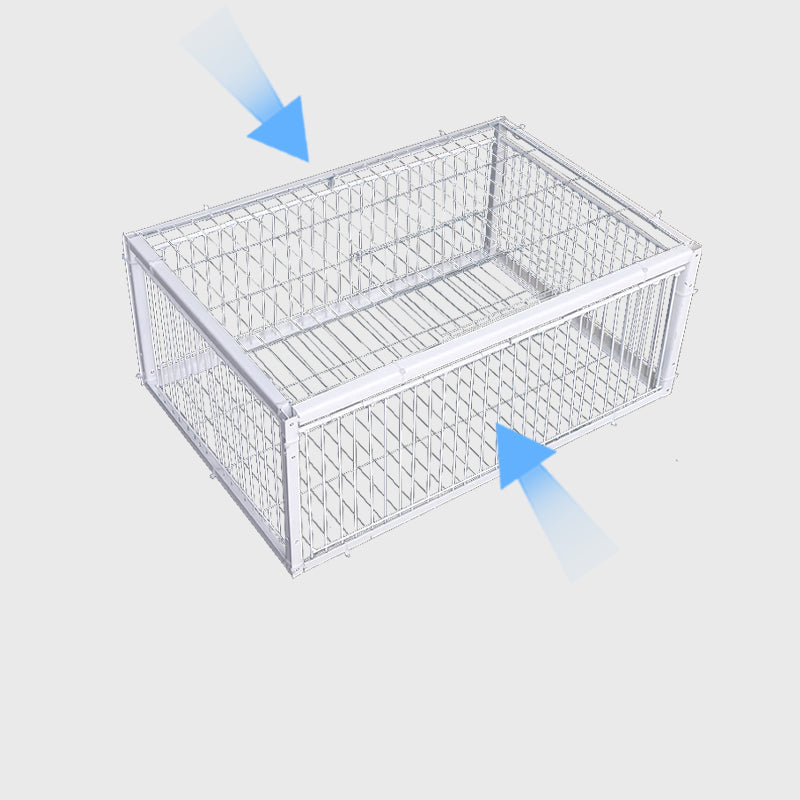 Secure & humane bird trap for effective wildlife management, ideal for safe capture & release.