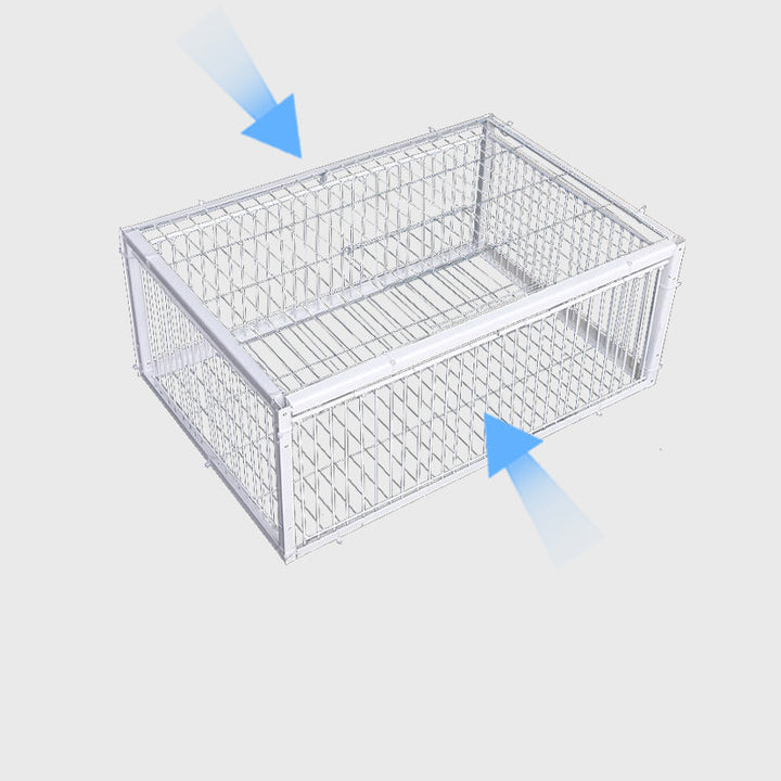 Secure & humane bird trap for effective wildlife management, ideal for safe capture & release.