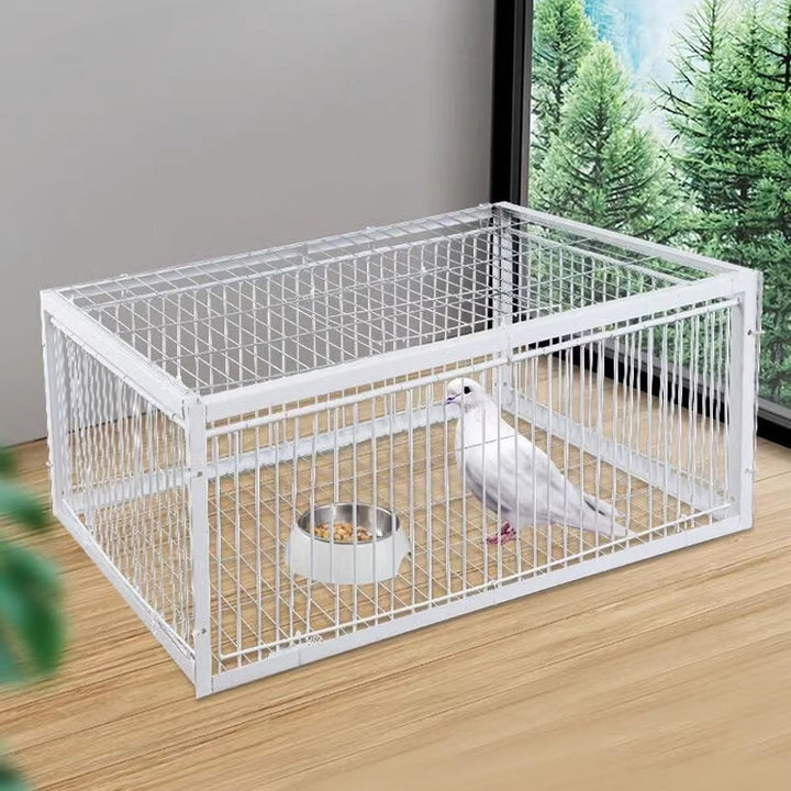 Animal-friendly humane bird trap, designed for safe capture & release of birds.