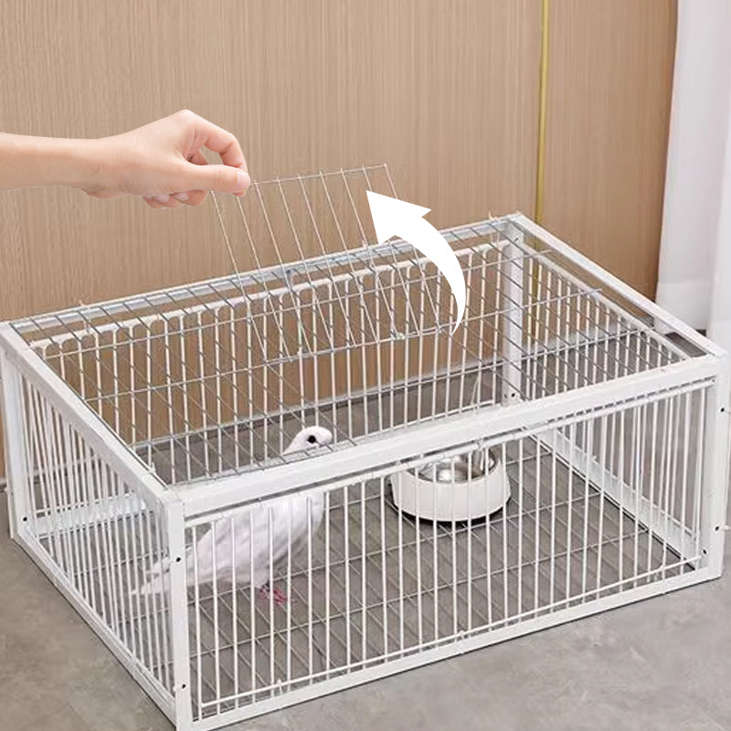 Garden solution: Humane bird trap for safe pest control & relocation of birds.