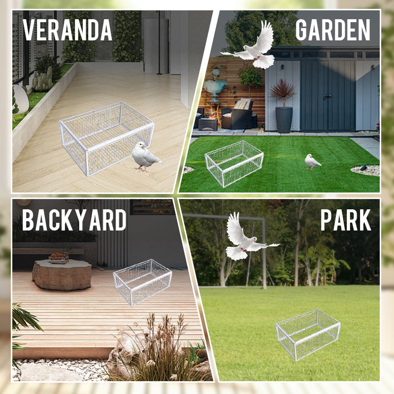 Metal humane bird trap for garden pest control & animal-friendly wildlife management.