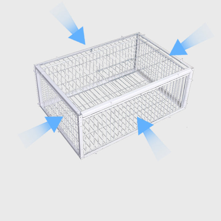 Reusable humane bird trap, an eco-friendly choice for safe capture & relocation of birds.