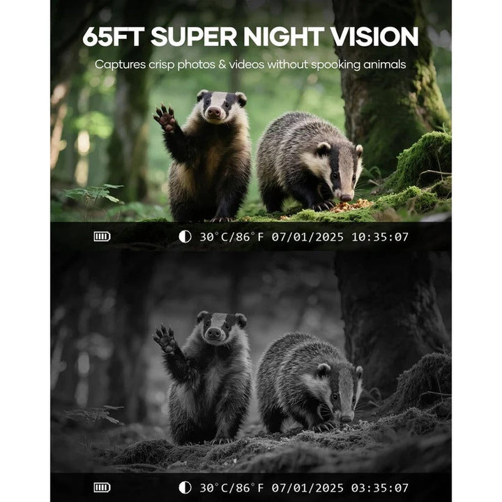 Solar-powered wildlife camera with 48MP image quality & invisible IR night vision for continuous nature photography.