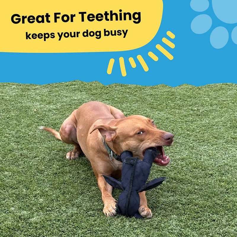 Heavy duty bear dog toy, indestructible material, perfect for active large breeds.