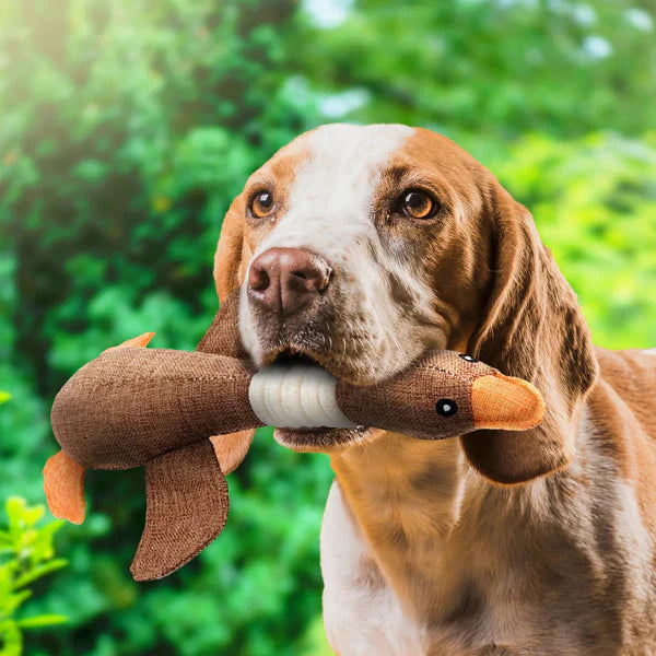 Blue durable dog chew toy, pet supplies for aggressive chewers