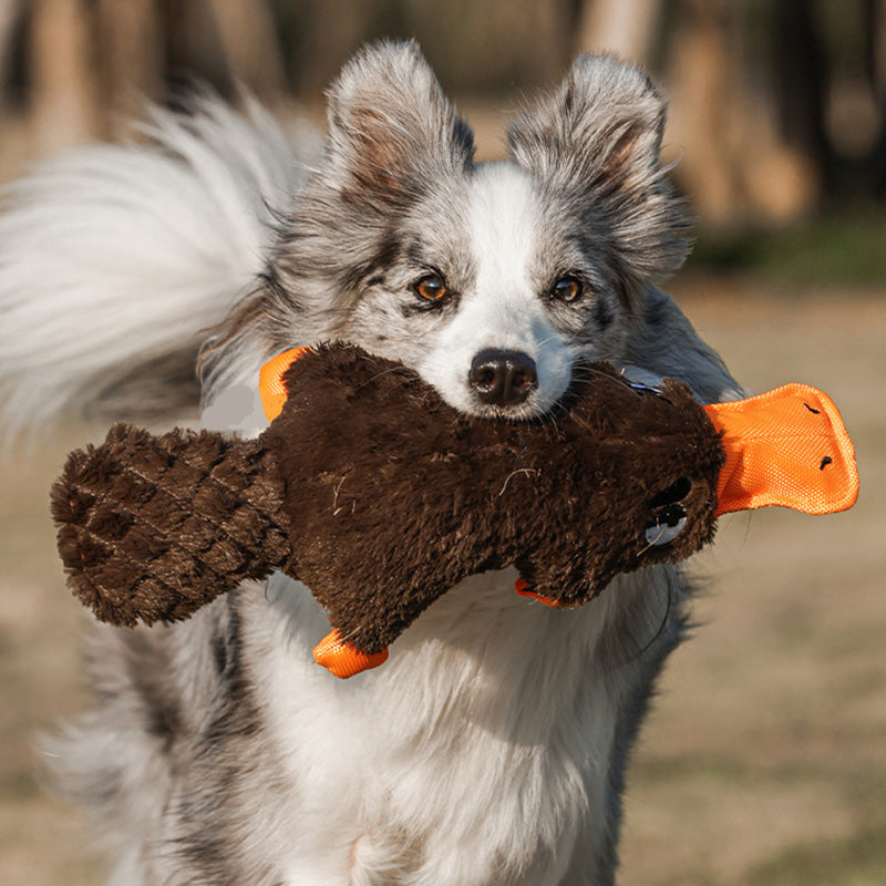 Package of an indestructible dog chew toy, highlighting its heavy chewer suitability