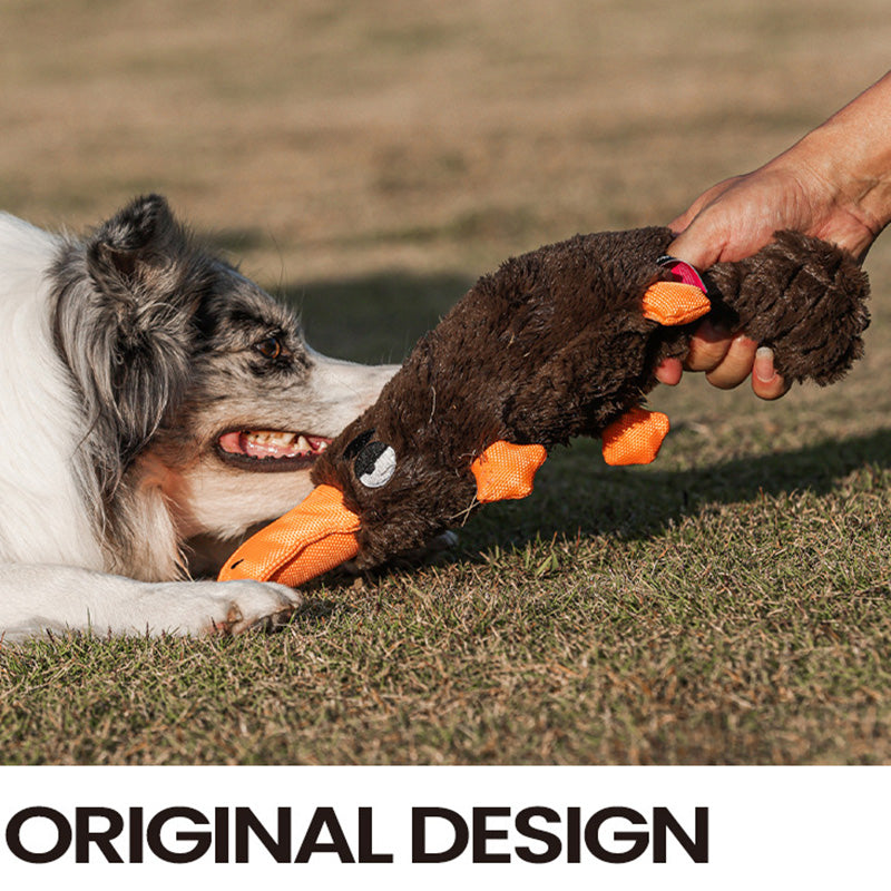 Dog enrichment toy, an indestructible chew made for heavy chewers, promoting healthy play