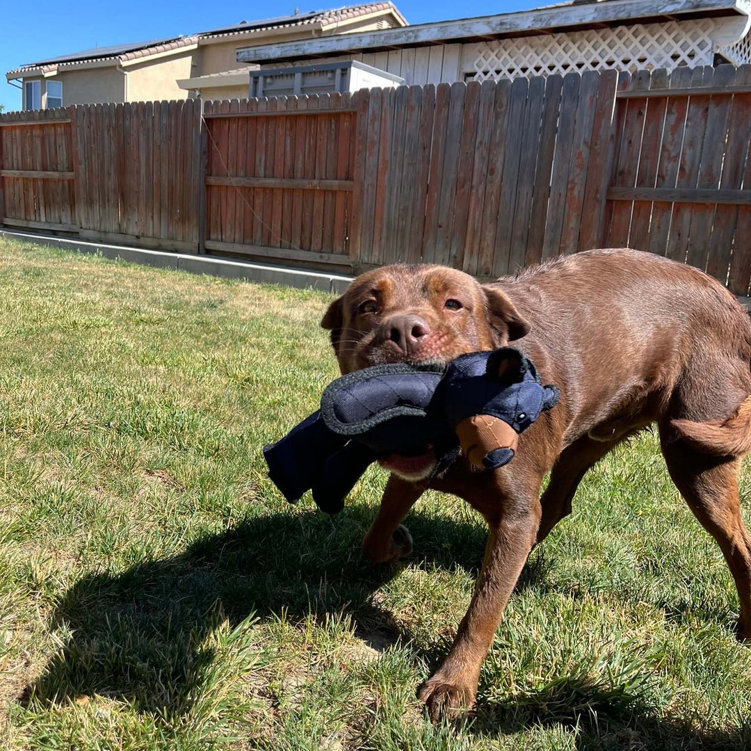 Heavy chewer dog toy in red, interactive and indestructible for dog enrichment activities