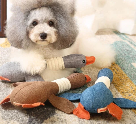 Plush goose dog toy for heavy chewers, providing durability and engagement.