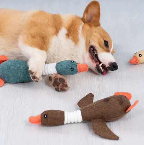 Plush goose dog toy for heavy chewers, offering long-lasting play and durability.