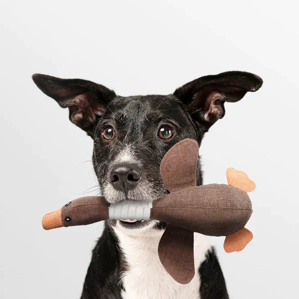 Goose dog toy, indestructible and durable, ideal for pets needing dental health benefits.