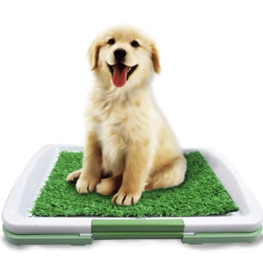 Indoor dog potty patch with artificial grass, ideal for puppy training & small dogs, portable for balconies.