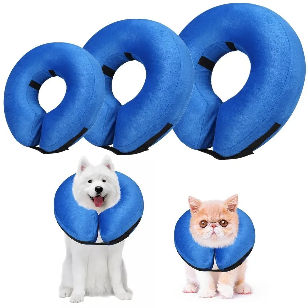 Pet wearing an inflatable recovery collar, designed for comfort and healing.