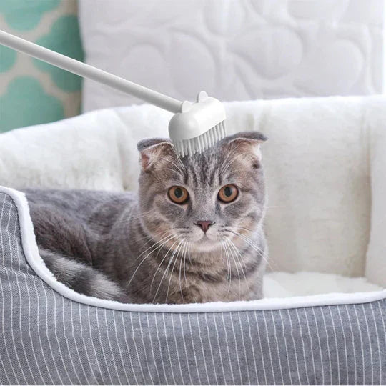 Top view of the Innovative Pet Grooming Massage Brush, highlighting its design