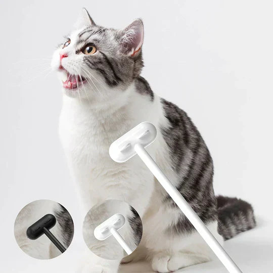 Happy pet being groomed with the innovative silicone cat and dog brush