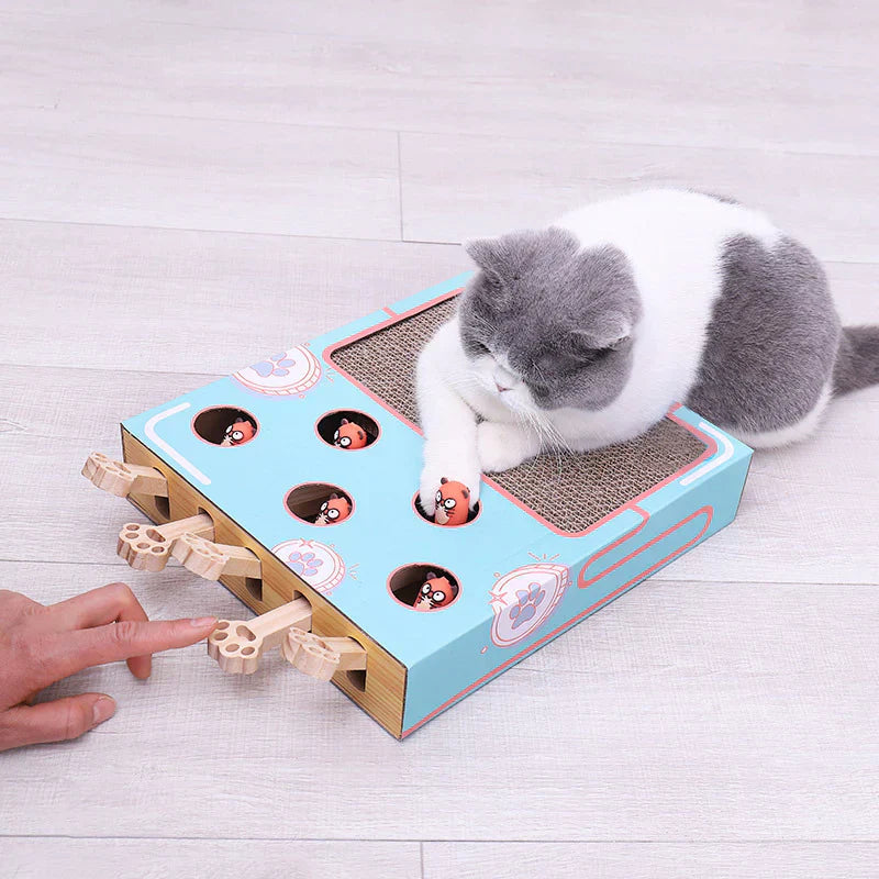 Interactive 3-in-1 cat activity play box with scratching post for feline mental stimulation