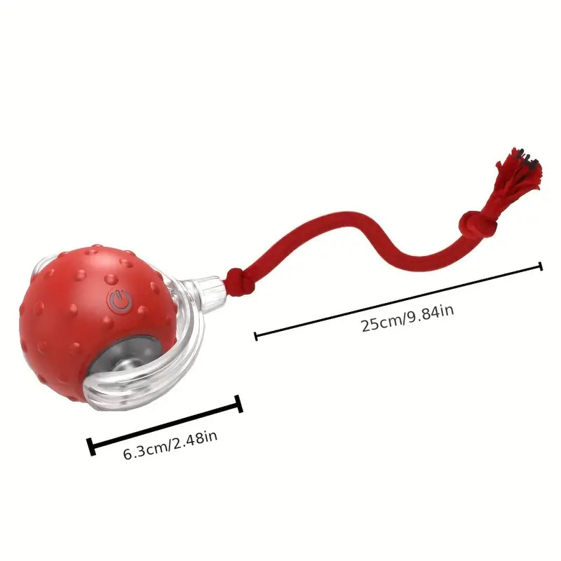 Automatic cat exercise ball with real feather, engaging cats in active play
