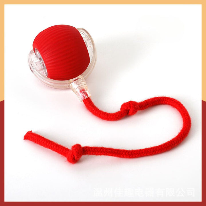 Feline interactive play ball with an enticing feather attachment, promoting pet health