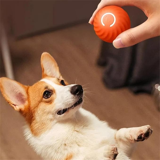 Interactive automatic jumping dog ball, blue and yellow, on a wooden floor.