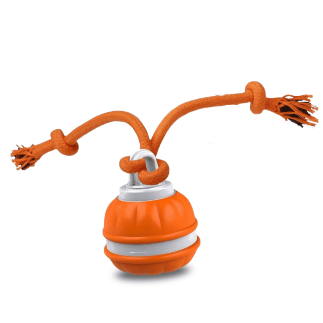 Durable pet supplies dog toy with interactive motion sensor, perfect for active indoor play.