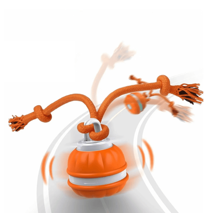 Rechargeable automatic dog toy ball, motion-activated for engaging interactive fun for small dogs.