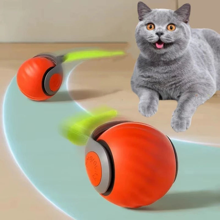 Rechargeable interactive cat toy, an automatic rolling ball for engaging feline play and exercise.