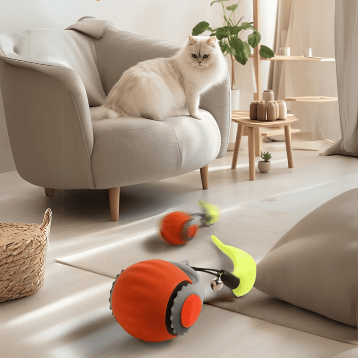 Motion-activated rolling ball cat toy, designed for automatic entertainment and pet activity.