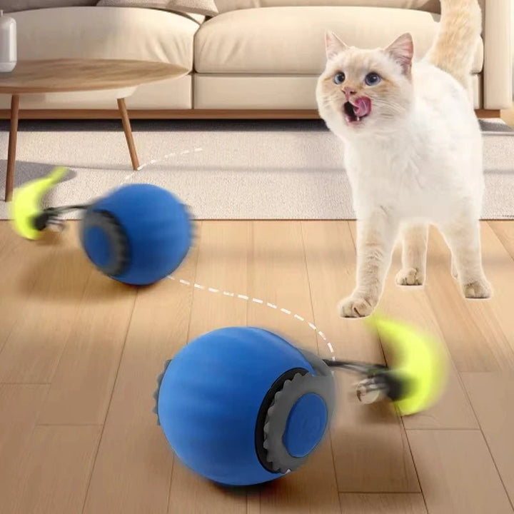 Close-up of rolling ball cat toy, an automatic interactive pet supply for active felines.