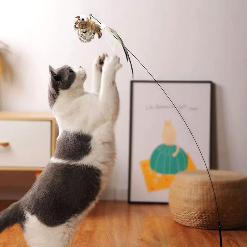 Interactive bird cat teaser toy set stimulates hunting instincts for feline enrichment.