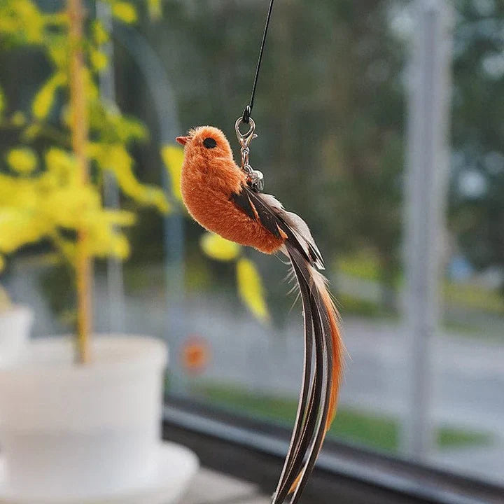 Interactive cat toy with realistic bird feathers, designed for hours of feline fun.