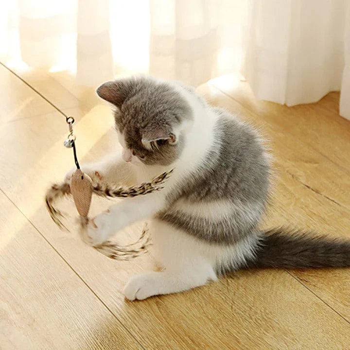 Interactive cat wand and bird toy set promotes exercise and mental stimulation for cats.