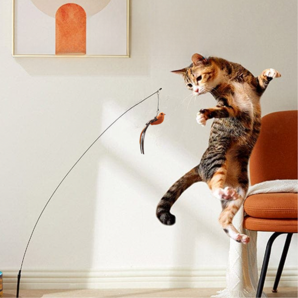Suction cup cat toy securely attaches, allowing hands-free interactive feline fun.