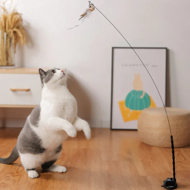 Feline enrichment: Cat toy with lifelike bird design, promoting active healthy cats.