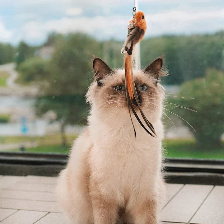 Engaging pet supplies: Bird cat toy with suction cup ideal for playful felines.