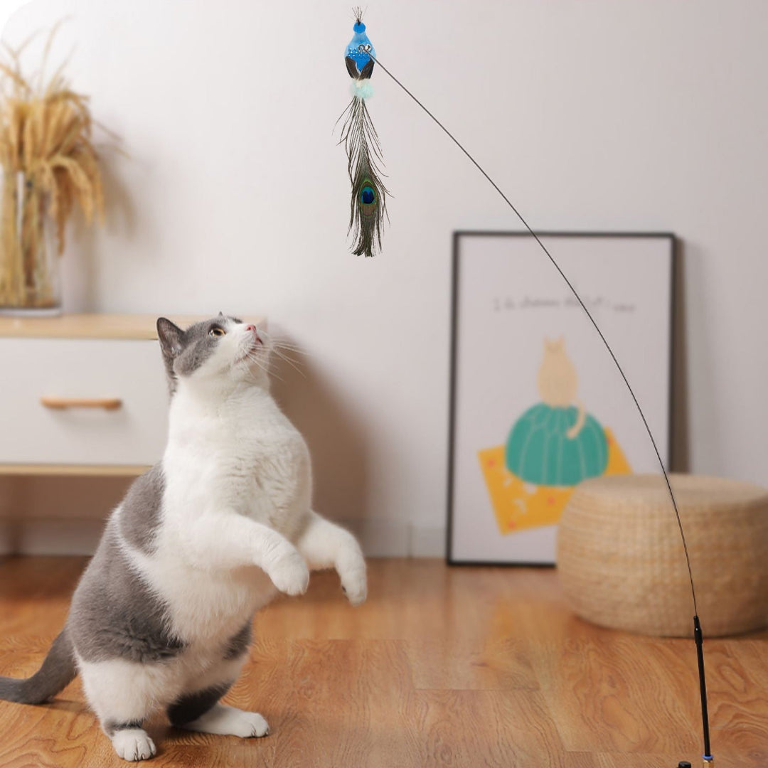 New arrival interactive bird cat toy, a fun pet accessory for feline enrichment.
