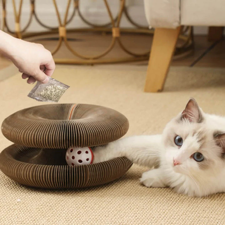 Indoor cat toy: Accordion scratcher and ball track designed for feline fun