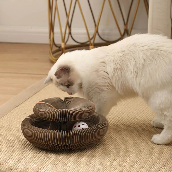 Playful cat supplies: Accordion scratcher toy with an exciting ball track