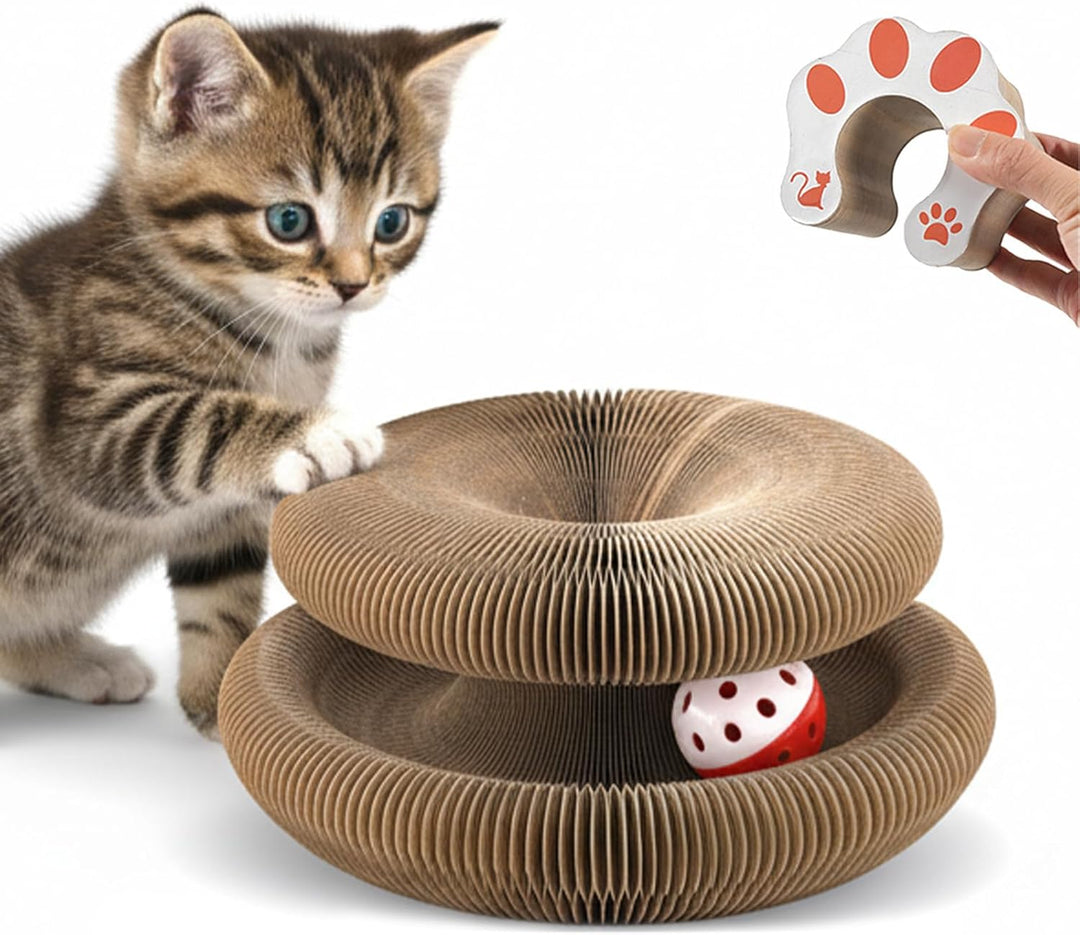 Pet supplies: Interactive cat toy, accordion scratcher & ball track for cats