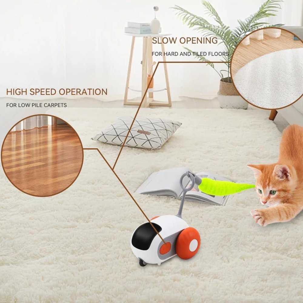 Stimulating interactive cat chase toy designed for lively pet play, keeping kittens & cats engaged.