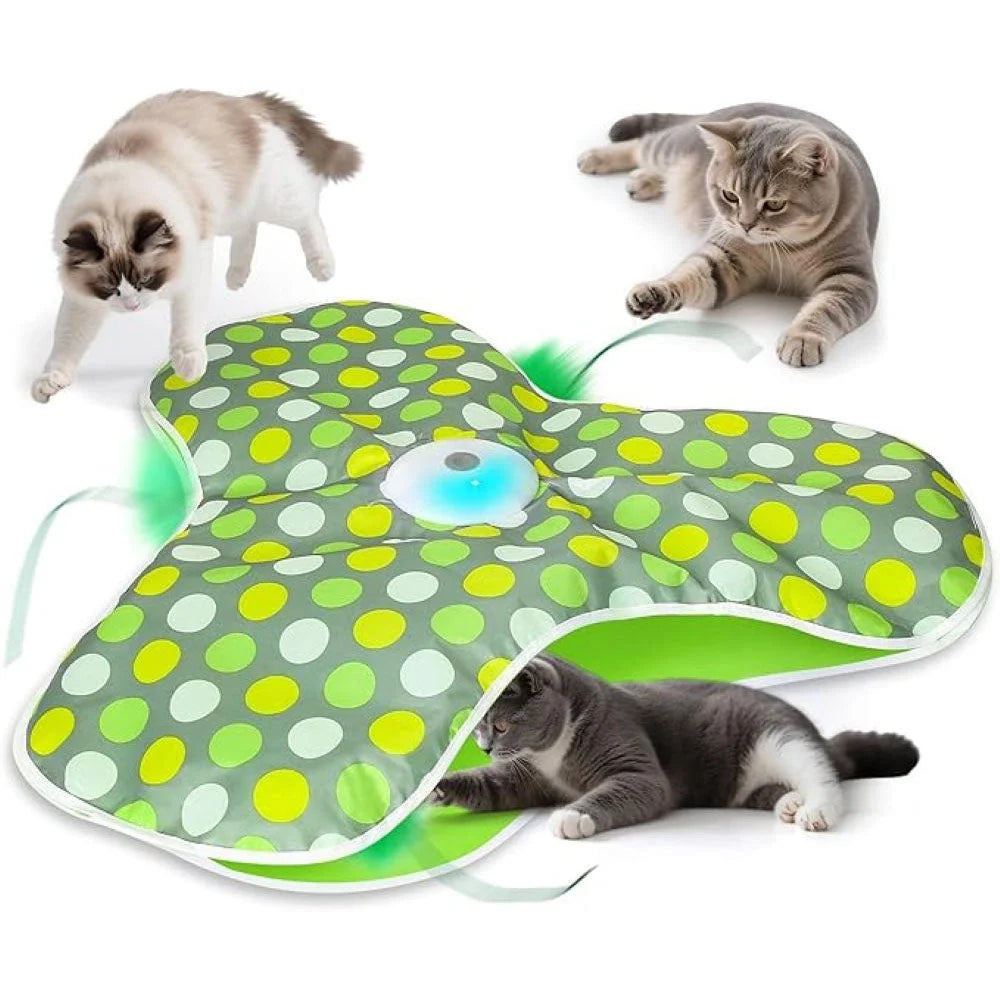 Pet cat hide-and-seek toy with unpredictable feather action to entertain