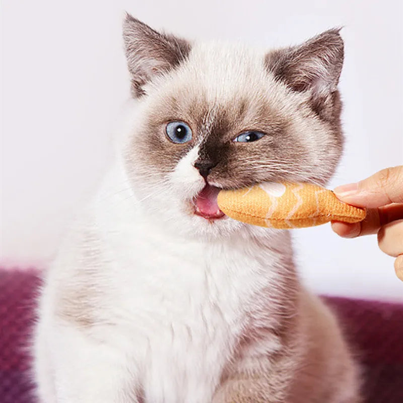 Realistic fish cat chew toy with soft texture for interactive pet play.